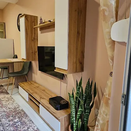 Felis Apartamento *